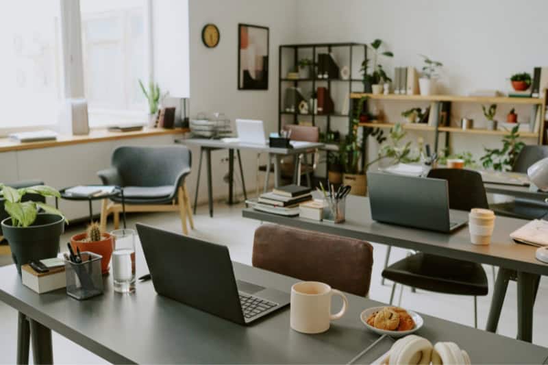 limpieza profesional en empresas